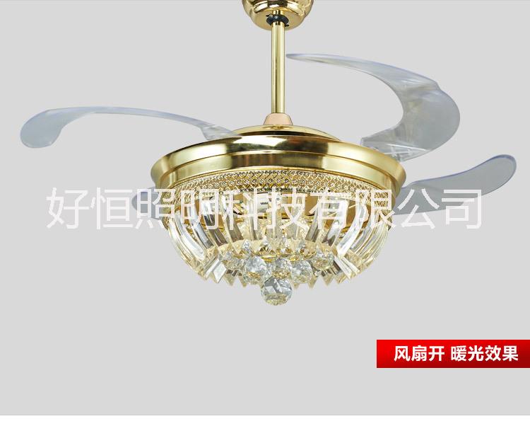 風(fēng)扇吊燈圖片/風(fēng)扇吊燈樣板圖 (2)