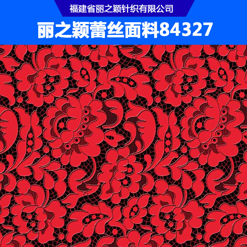 蕾絲面料圖片/蕾絲面料樣板圖 (1)