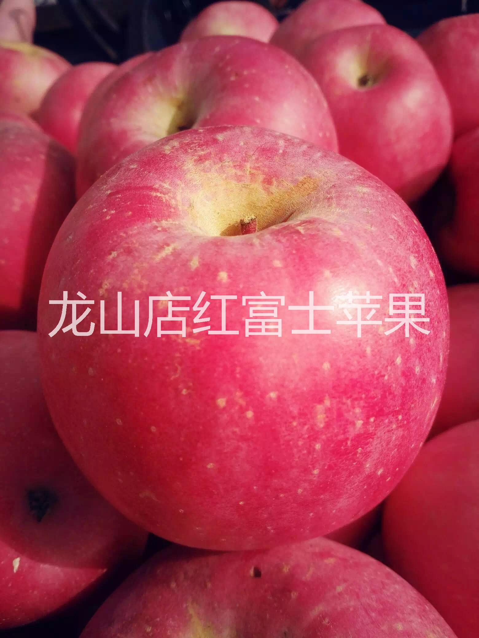 蓬萊圖片/蓬萊樣板圖 (2)