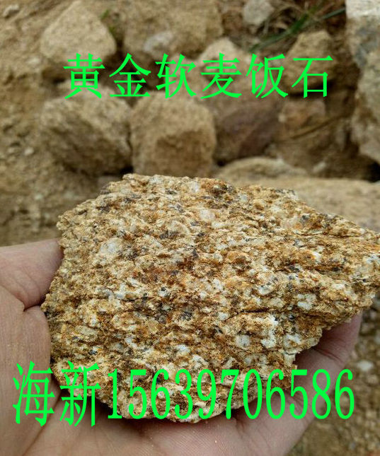 郑州市黄金麦饭石颗粒厂家黄金麦饭石颗粒价格 软麦饭石厂家 种植多肉批发