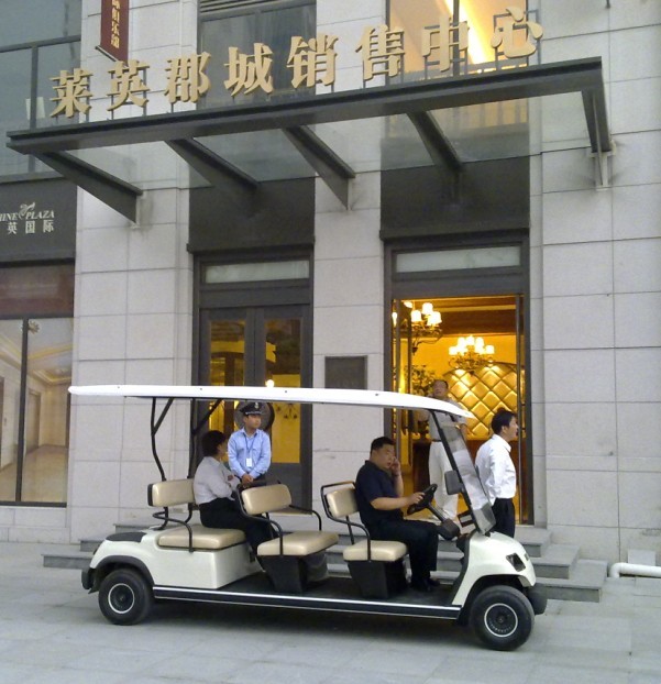 湖南高爾夫球觀光撿球車圖片/湖南高爾夫球觀光撿球車樣板圖 (3)