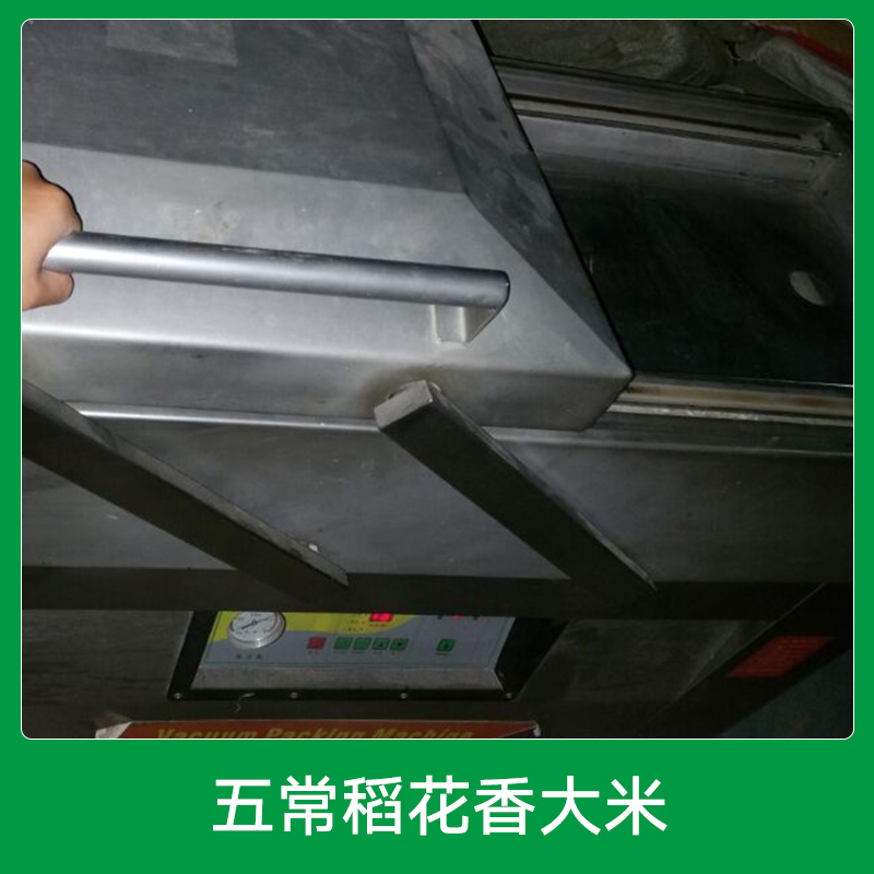 稻花香大米圖片/稻花香大米樣板圖 (2)