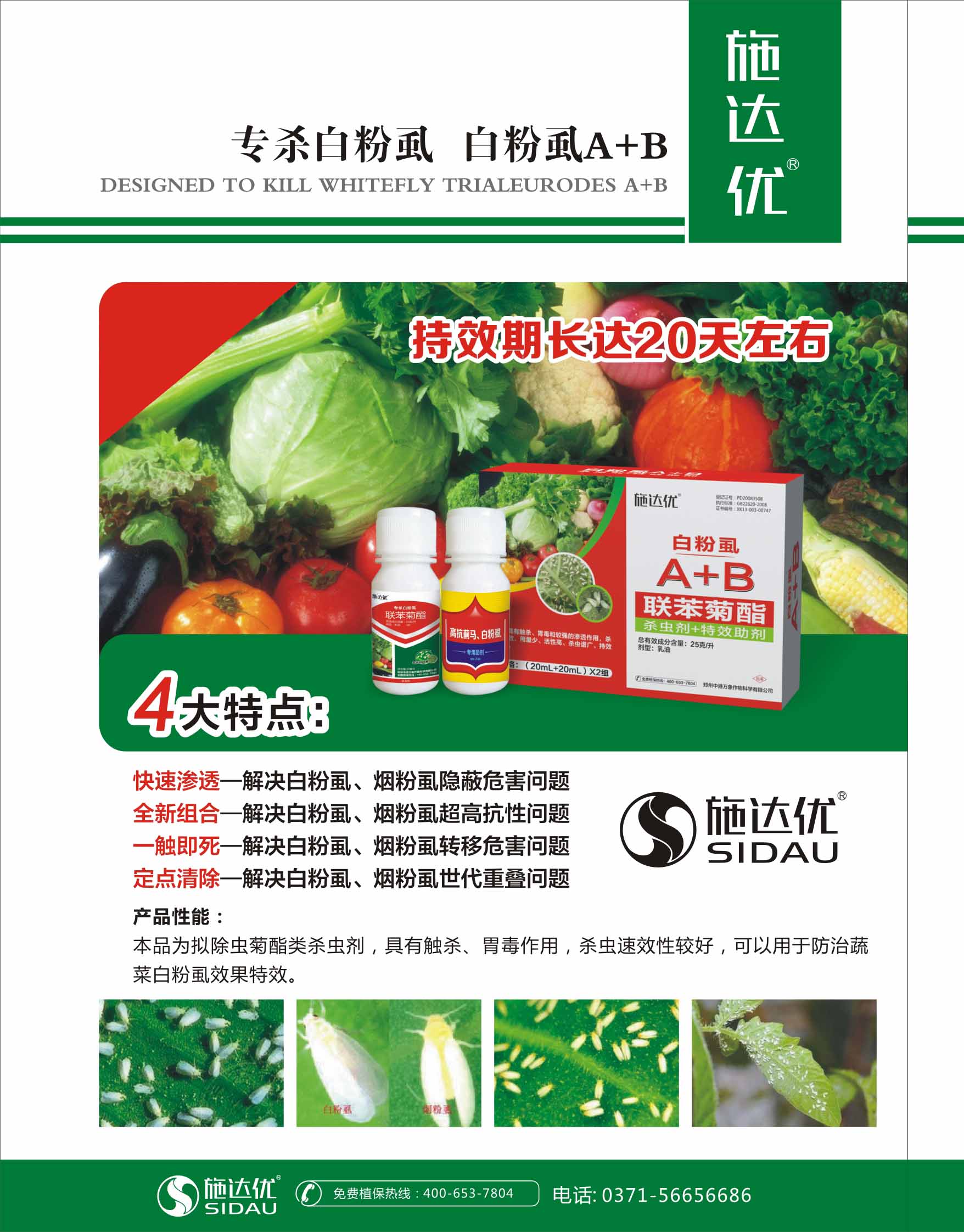 白粉虱圖片/白粉虱樣板圖 (1)