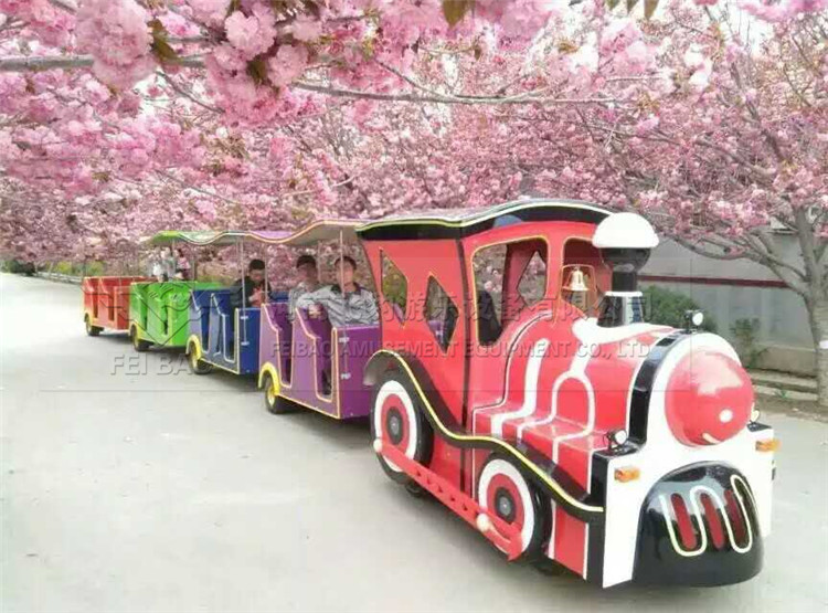 無軌小火車圖片/無軌小火車樣板圖 (4)