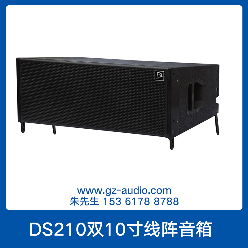 DS210雙10寸線陣音箱圖片/DS210雙10寸線陣音箱樣板圖 (3)