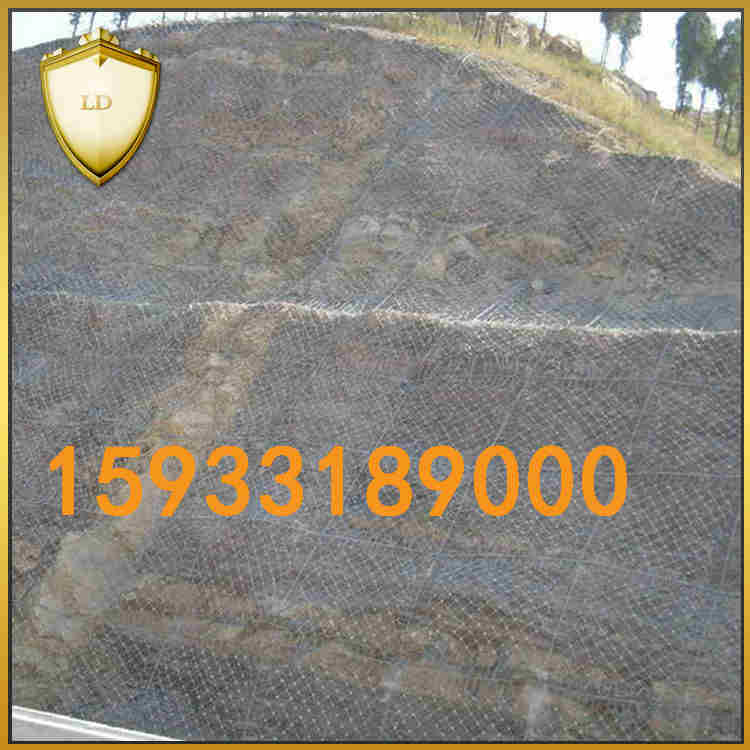 邊坡防護(hù)網(wǎng)圖片/邊坡防護(hù)網(wǎng)樣板圖 (4)