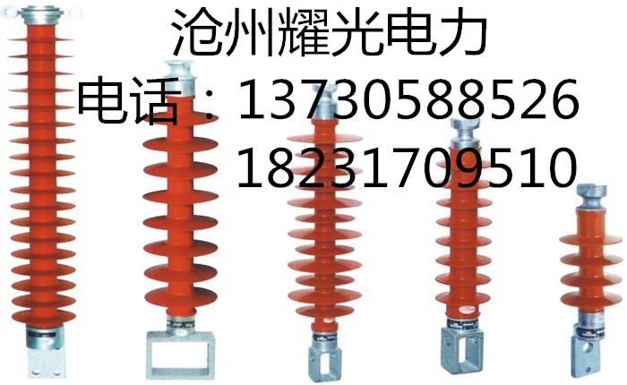 復(fù)合絕緣子圖片/復(fù)合絕緣子樣板圖 (2)
