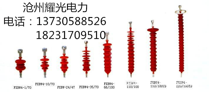 FXBW-35/70耐張復(fù)合絕緣圖片