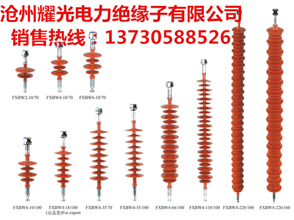 FXBW4-35/100复合绝缘子 FXBW4-35/10复合绝缘子