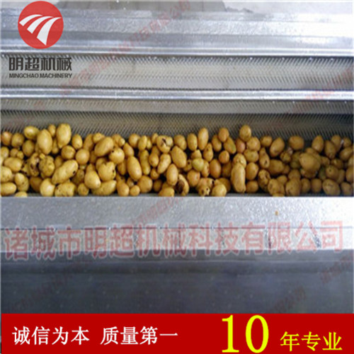 廠家直銷 新型桔梗毛輥去皮清洗機(jī)  產(chǎn)量高能耗小