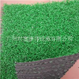 仿真草坪圖片/仿真草坪樣板圖 (3)