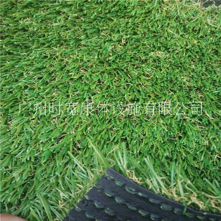 塑料草坪圖片/塑料草坪樣板圖 (2)