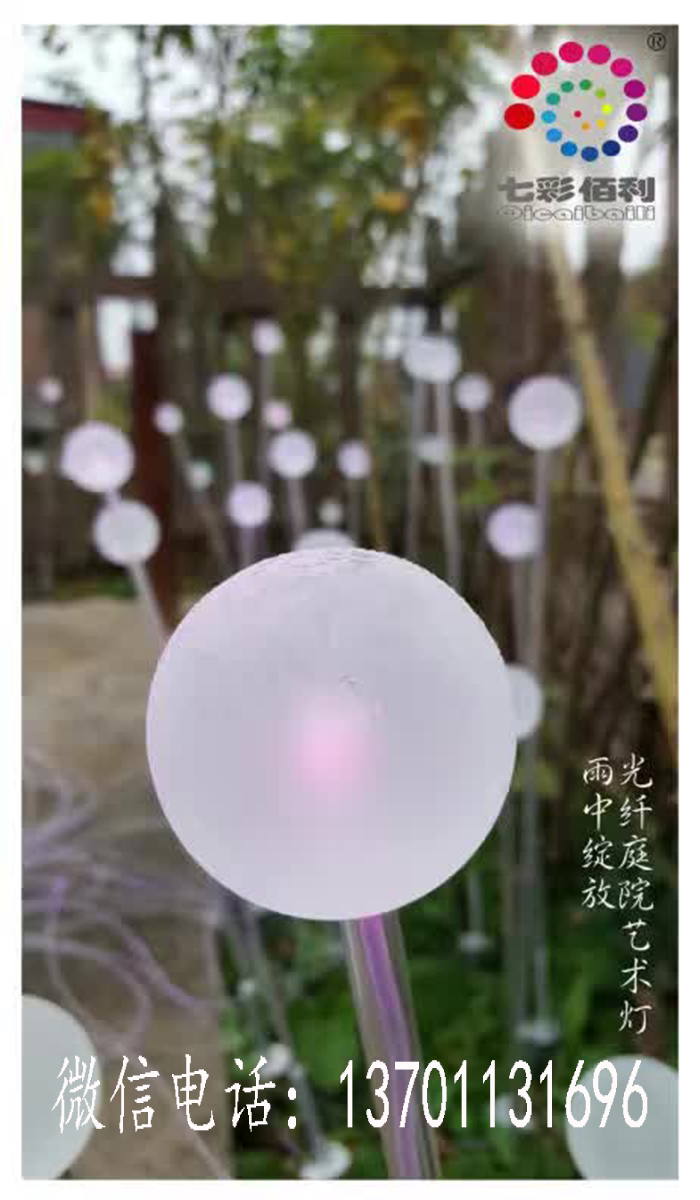 光纖庭院藝術(shù)燈圖片/光纖庭院藝術(shù)燈樣板圖 (4)