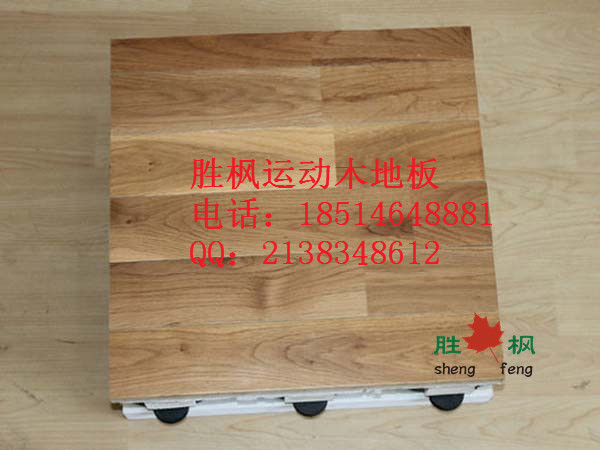 專用木地板圖片/專用木地板樣板圖 (1)