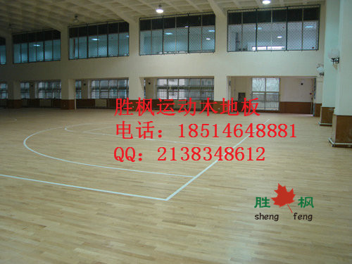 專用木地板圖片/專用木地板樣板圖 (3)