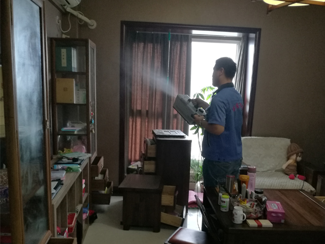 甲醛去除方法圖片/甲醛去除方法樣板圖 (3)