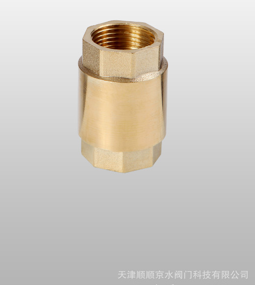 京水立式止回閥圖片