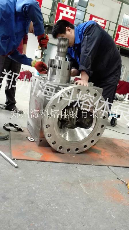 ?？品磻?yīng)釜輸送熔體泵圖片/?？品磻?yīng)釜輸送熔體泵樣板圖 (1)
