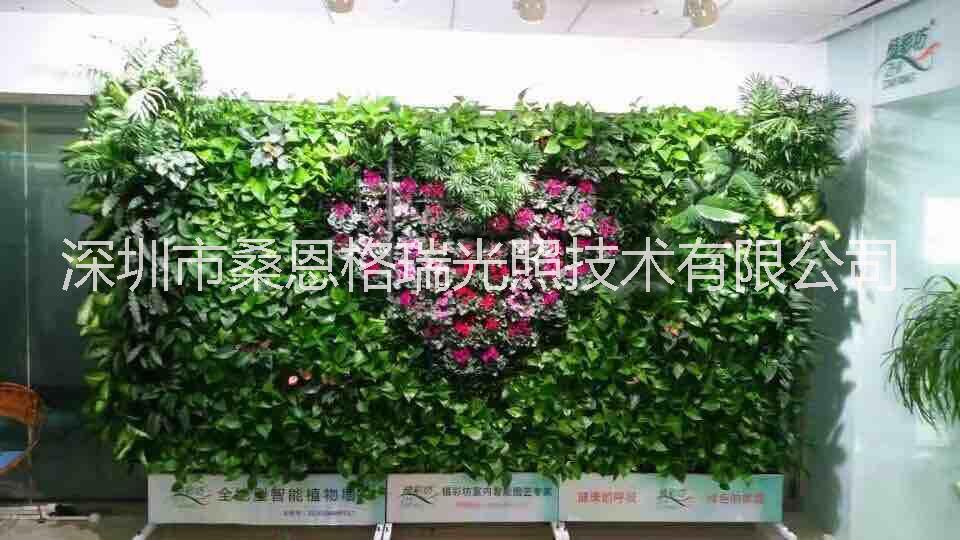 LED綠墻植物生長補光軌道射燈圖片/LED綠墻植物生長補光軌道射燈樣板圖 (4)