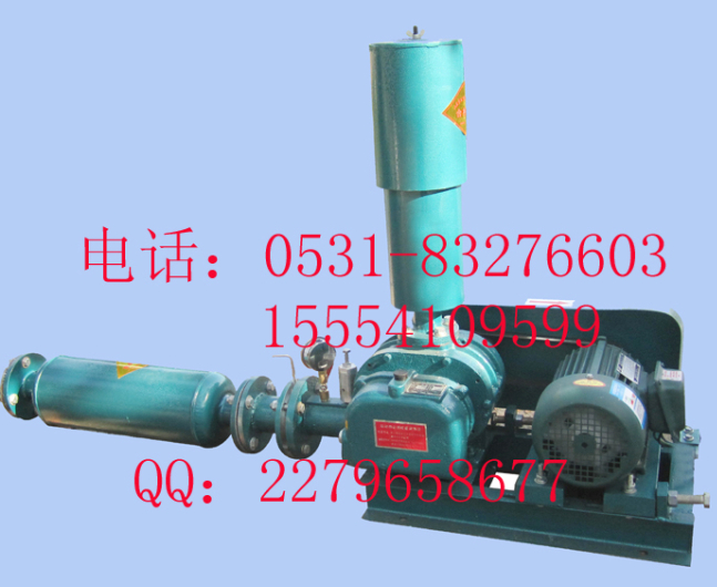 羅茨風(fēng)機圖片/羅茨風(fēng)機樣板圖 (2)