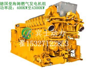 燃氣發(fā)電機組圖片/燃氣發(fā)電機組樣板圖 (2)