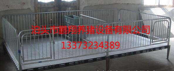 豬用保育欄圖片/豬用保育欄樣板圖 (2)