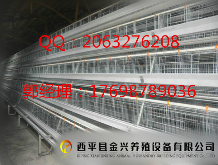 撿蛋機(jī)圖片/撿蛋機(jī)樣板圖 (2)