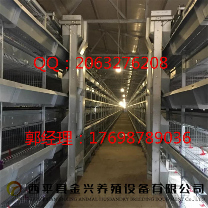 供應(yīng)自動化撿蛋機(jī)    廠家直銷圖片