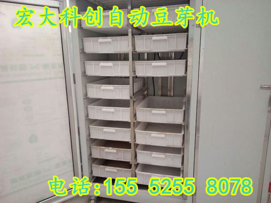 全自動自發(fā)豆芽機(jī)圖片