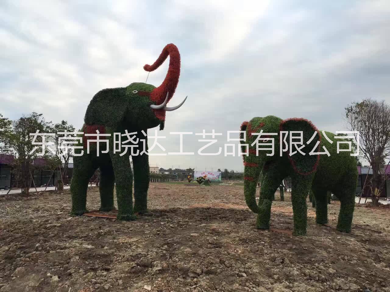仿真植物圖片/仿真植物樣板圖 (4)