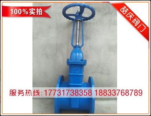 上海喆慶閥門(mén)有限公司廠家供應(yīng) 大體*優(yōu)質(zhì)DN250明桿軟密封閘閥