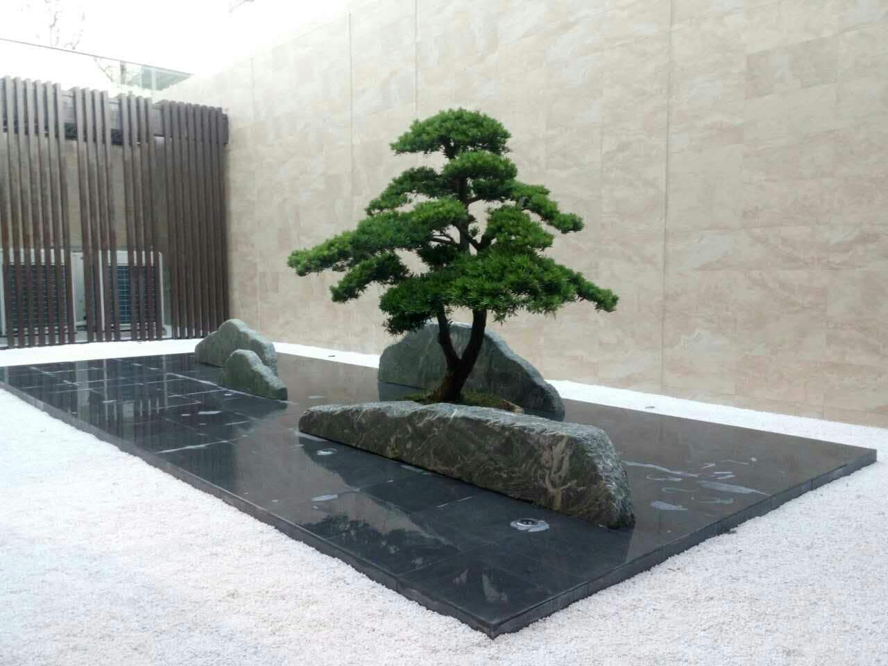 九龍玉圖片/九龍玉樣板圖 (4)
