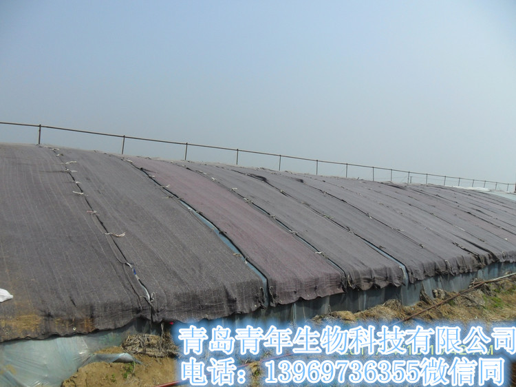 農(nóng)業(yè)大棚保溫被圖片/農(nóng)業(yè)大棚保溫被樣板圖 (3)