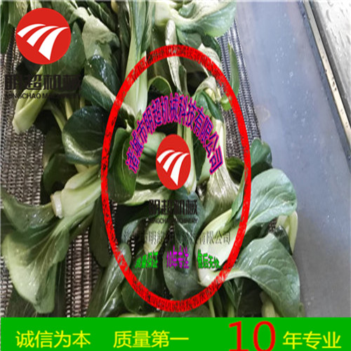 精品供应 明超青椒清洗风干设备-净菜加工流水线