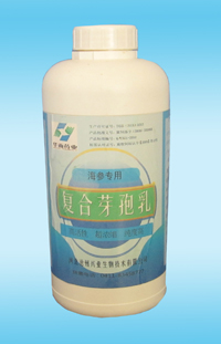 枯草芽孢桿菌圖片/枯草芽孢桿菌樣板圖 (3)