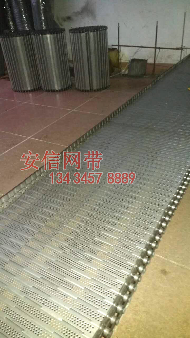 鏈板式網(wǎng)帶圖片/鏈板式網(wǎng)帶樣板圖 (4)