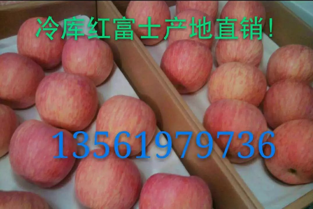 富士蘋果產(chǎn)地圖片/富士蘋果產(chǎn)地樣板圖 (2)