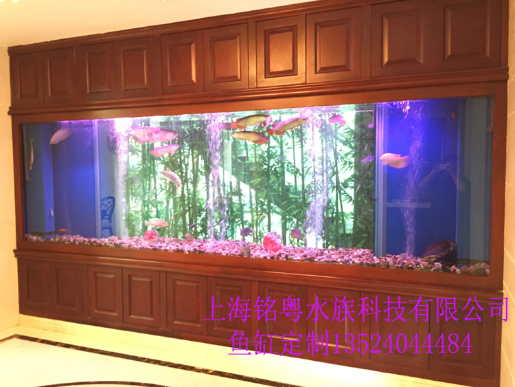 銘粵水族承接大型玻璃生態(tài)觀賞魚缸 海水鯊魚水族箱
