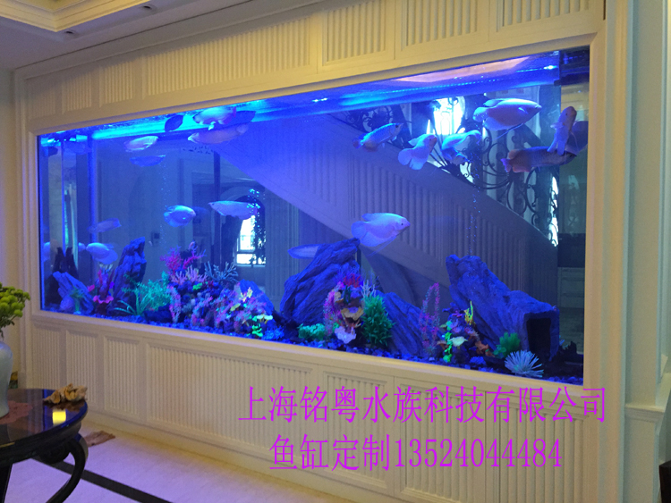 銘粵水族承接大型玻璃生態(tài)觀賞魚缸圖片/銘粵水族承接大型玻璃生態(tài)觀賞魚缸樣板圖 (2)