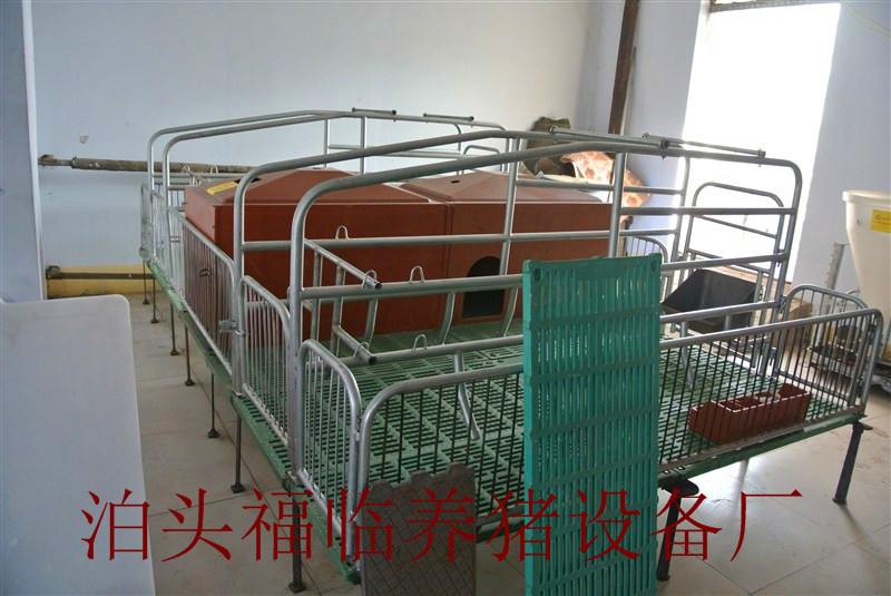 母豬產(chǎn)床仔豬保育床圖片/母豬產(chǎn)床仔豬保育床樣板圖 (4)