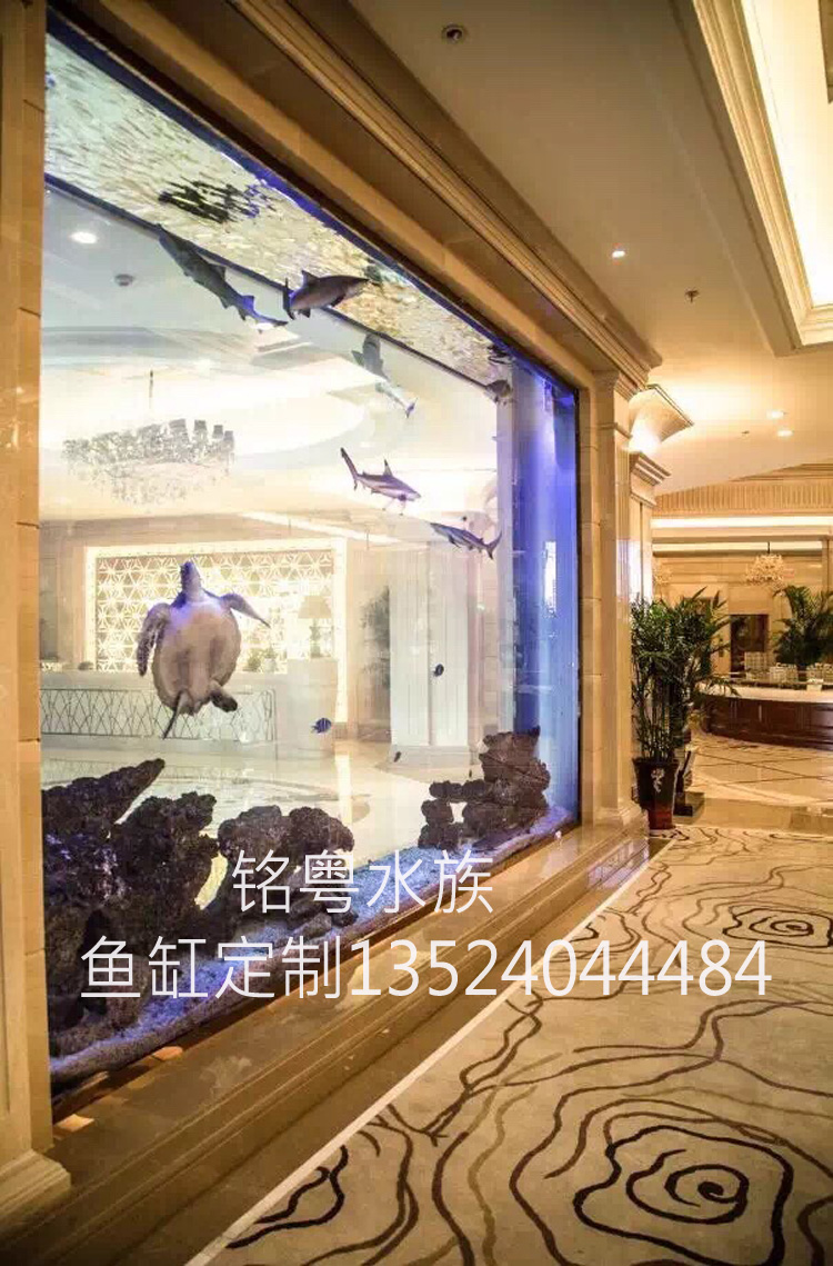 亞克力觀賞水族箱圖片/亞克力觀賞水族箱樣板圖 (3)