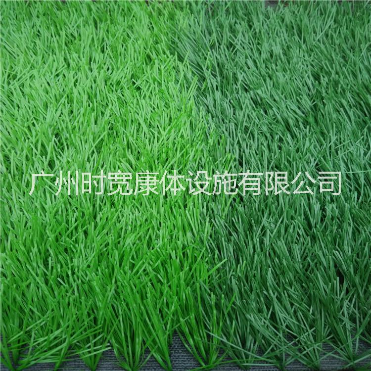 足球場人工草圖片/足球場人工草樣板圖 (3)
