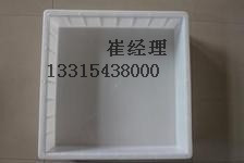 側(cè)帶平石塑料模具圖片