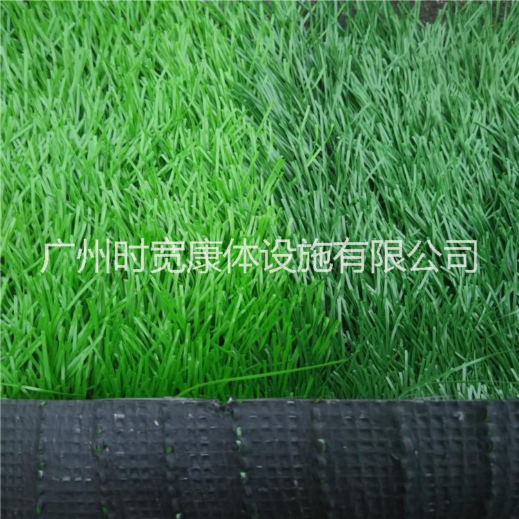 足球場人工草圖片/足球場人工草樣板圖 (2)