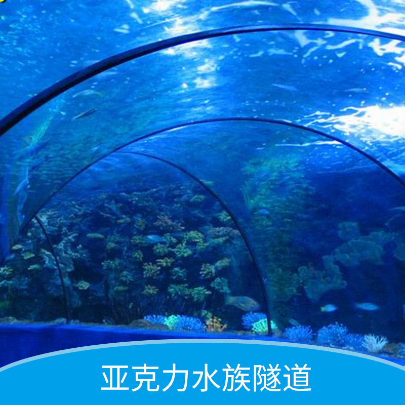 亞克力水族圖片/亞克力水族樣板圖 (4)