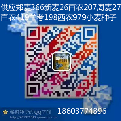 新國(guó)審耐密高產(chǎn)紅軸農(nóng)大372圖片/新國(guó)審耐密高產(chǎn)紅軸農(nóng)大372樣板圖 (4)