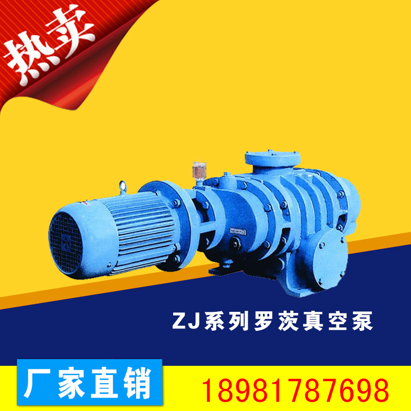ZJ系列羅茨真空泵圖片/ZJ系列羅茨真空泵樣板圖 (1)