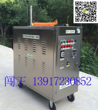 供應移動蒸汽洗車機 蒸汽清洗機