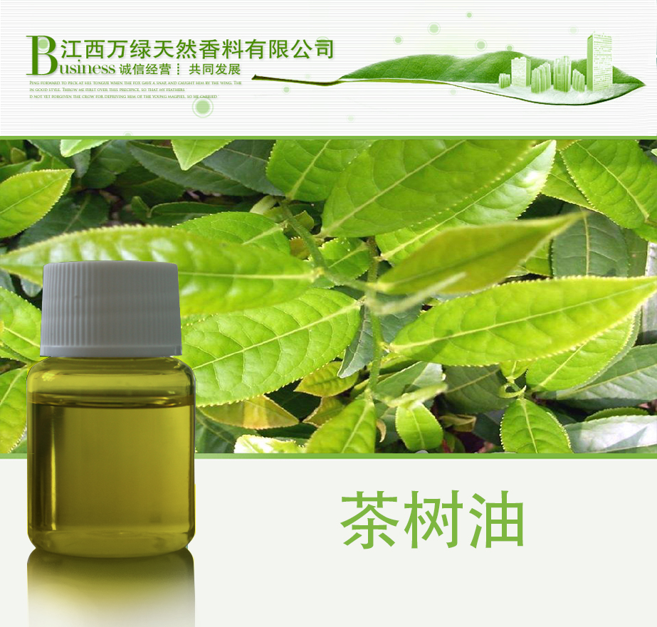 茶樹(shù)油圖片/茶樹(shù)油樣板圖 (1)