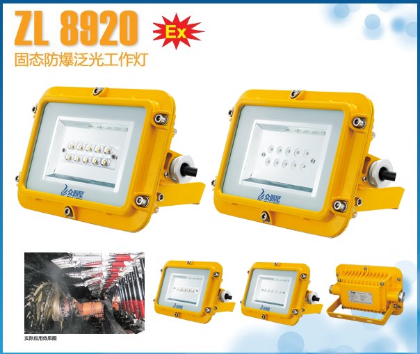 固態(tài)防爆泛光燈ZL8920圖片